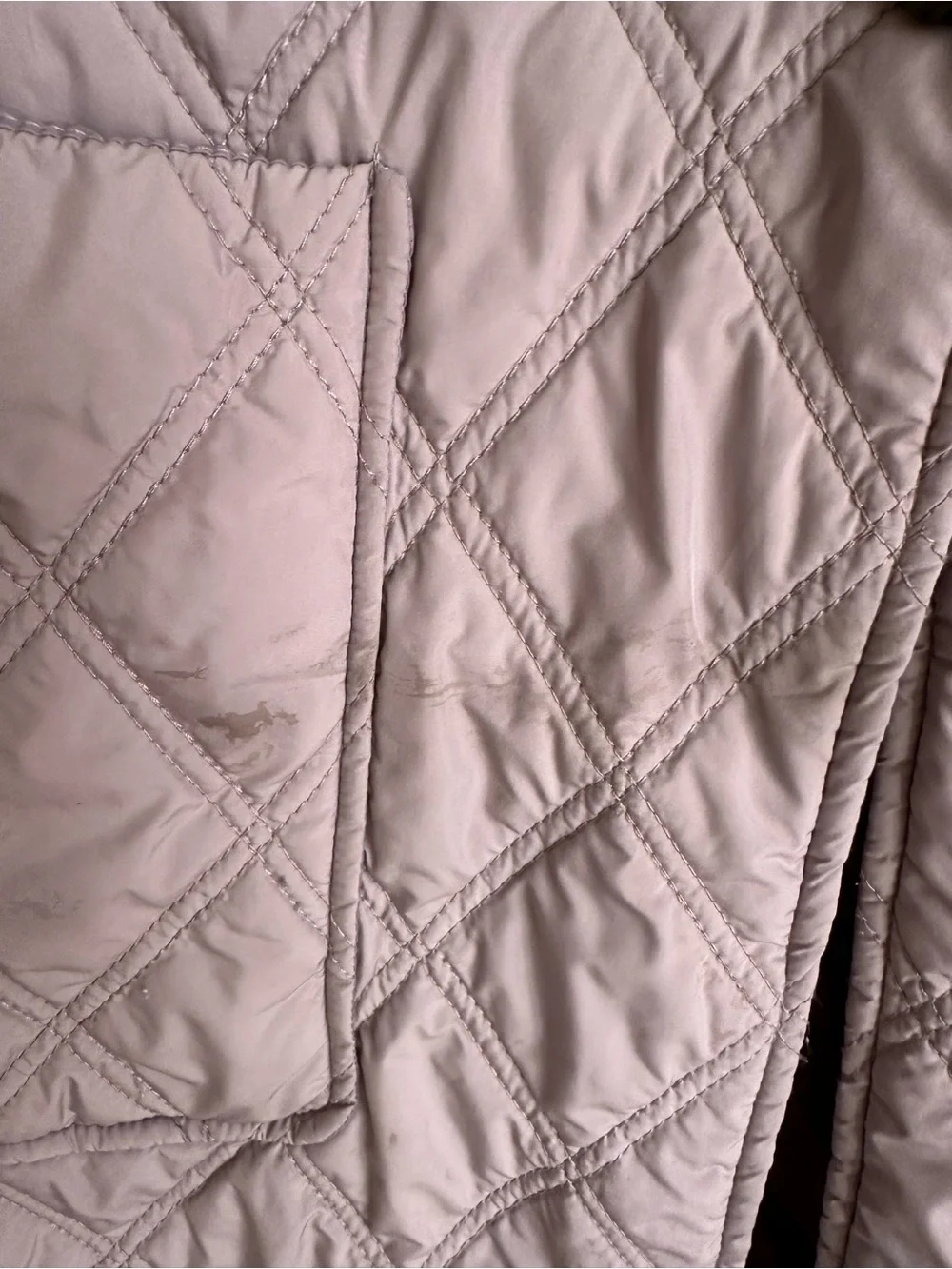 Bernardo Women's Coat in Light Gray